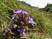 LAGHI GEMELLI, DELLA PAURA E DI VAL VEGIA, ad anello con Cima delle galline e di Mezzeno il 26 agosto 2020 - FOTOGALLERY